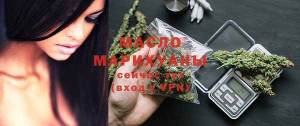 гидра Михайловск