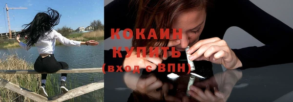 гидра Михайловск