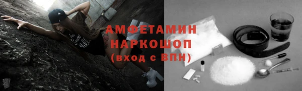 гидра Михайловск