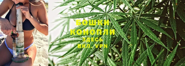 крисы Михайлов