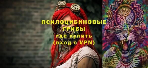 индика Михайловка