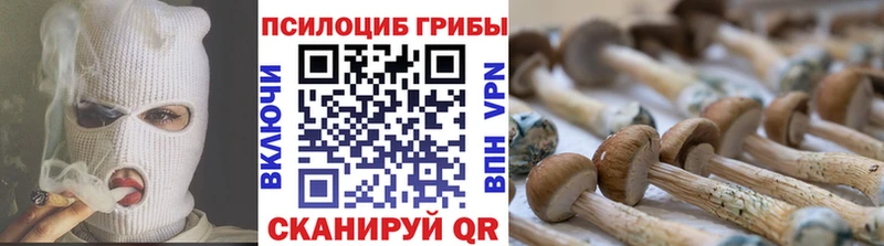 Купить закладки  Лукоянов  Галлюциногенные грибы Magic Shrooms 